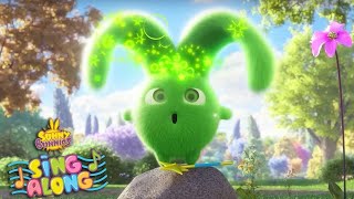 HOPPER'S MAGIC EARS | SING ALONG | Sunny Bunnies | Cartoons for kids | WildBrain Bananas