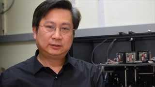 Fatal Attraction: Why Are Flies Drawn to Ultraviolet Light Bug Zappers?