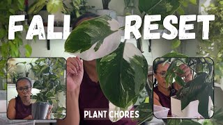 Refreshing tired plants| Fall Reset| Plant Chores