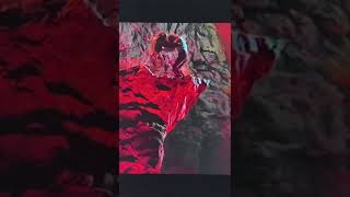 Gus the Theater Cat/Growltiger’s Last Stand - Cats - Sir Andrew Lloyd Webber - Star Trek - William