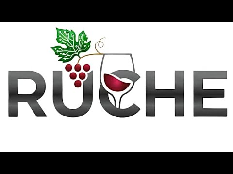 RUCHE - B-AROL-O Team response to MCP-1st-Birthday Hackathon