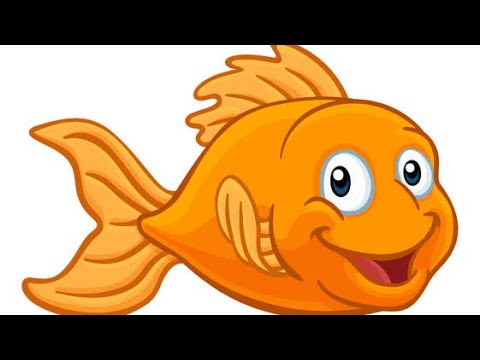 Happy birthday Rowan 2023