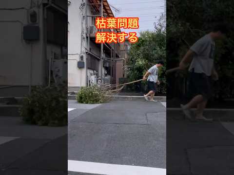 庭の枯れ葉をどう活用するか？それらを分解するためのヒントとテクニック  庭園