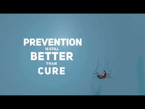 Olyset Pro Video