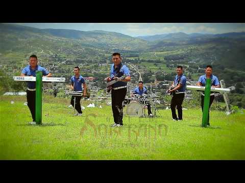 Grupo Soberano De Tierra Mixteca  - Dos Amigos  (Video Oficial)
