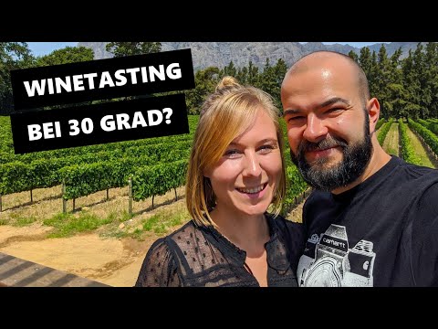 WEINGÜTER KAPSTADTS - LOHNT ES SICH? WELTREISE VLOG 006: KAPSTADT, SÜDAFRIKA