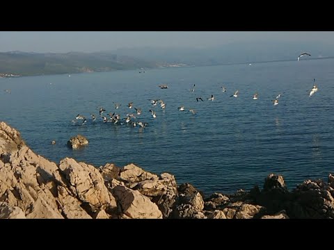 Amazing Rocky Beaches Of Novi Vinodolski,Croatia