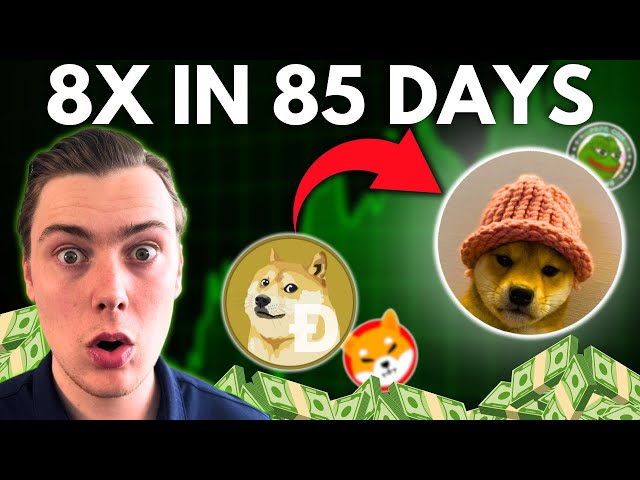 Miles Deutscher – WIF Will OVERTAKE DOGE In 85 Days! [Best Meme Coins To Buy Now] (14.03.2024 Summary)