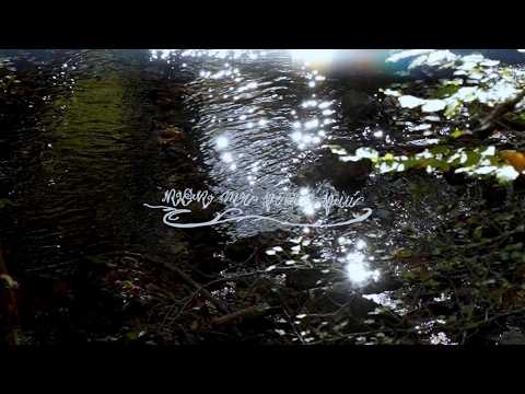 video frame placeholder