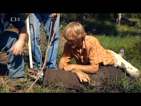 Rybí Legendy Jakuba Vágnera Divoká Austrálie Krokodýl