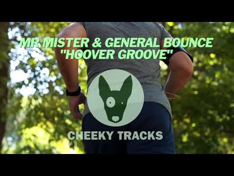 Mr Mister & General Bounce - Hoover Groove (Cheeky Tracks)