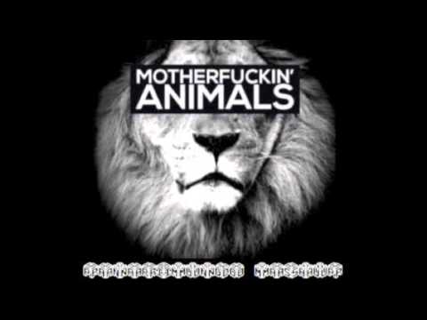 Animals in Your Face - PanariMundo (Mashup)