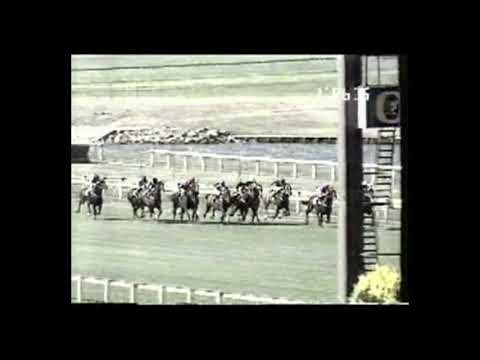 1991 Orr Stakes - Planet Ruler