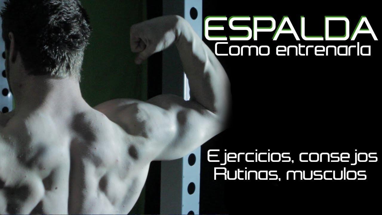 COMO ENTRENAR LA ESPALDA | TODO LO NECESARIO | EJERCICIOS Y TECNICA CORRECTA