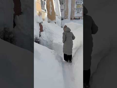 снегопад Камчатка подпишитесь ставьте лайки 🇷🇺 кто откуда пишите?