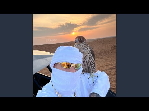 MTG Baile De Criminoso (dj mt)