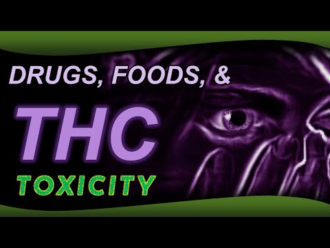 THC Drug and Food Interactions and Toxicity Risk