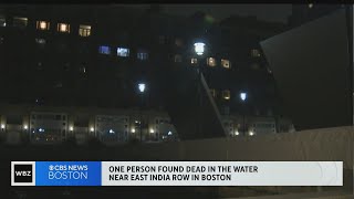 Body found in Boston Harbor by New England Aquarium