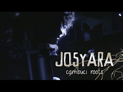 JosyAra - Roots Sessions