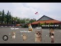 Bocil SD Vs Pencuri Episode 1 Fathulthekucing