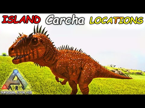 Where Do Carcharodontosaurus Spawn