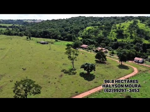 Fazenda de 20 Alq (96,8 hectares), rica em água apenas 40 km de Goiânia R$7.500.000,00