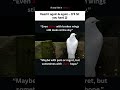 A bird with broken wings #quotes #life