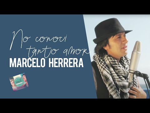 No conocí tanto amor - Marcelo Herrera