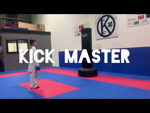 PunchMaster - KickMaster - KarateMaster