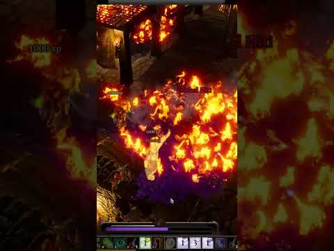 Cousins Been Trolling You, So You Decide to Troll Him Back - Divinity Original Sin 2