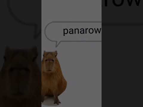 #копибара #питомец #трек #смех #ржака #тренды #funny #music #trending