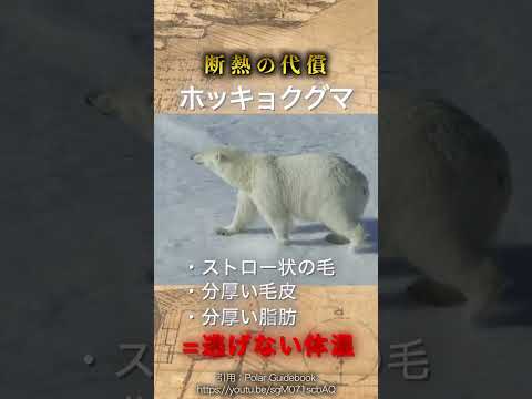 神と取引した動物 パート3 〜獲得と代償〜