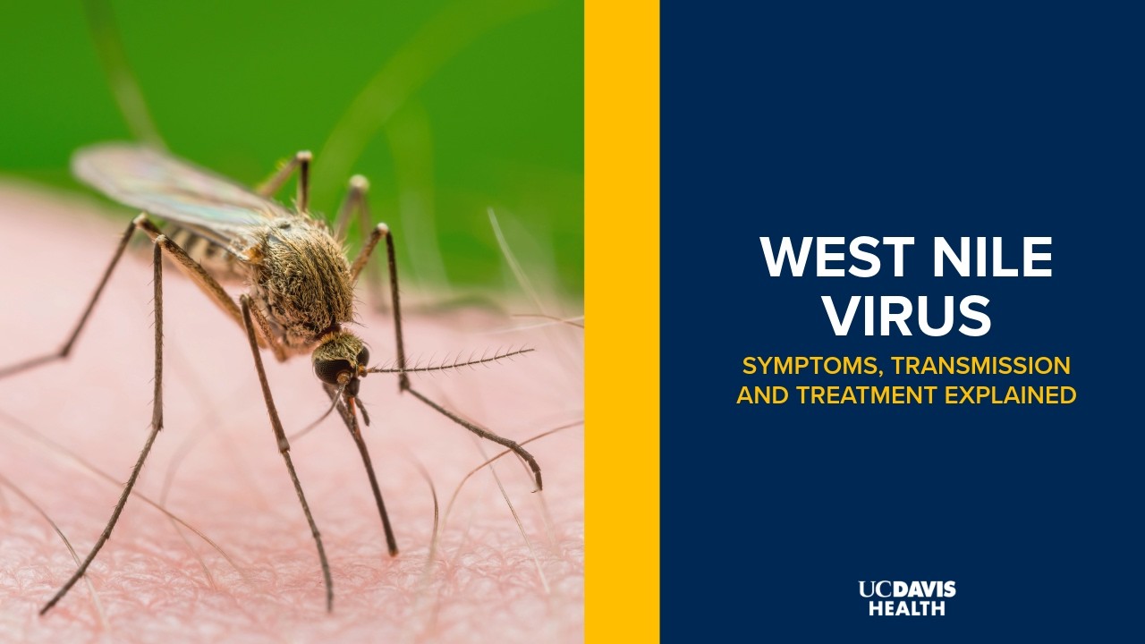 Thumbnail preview of West Nile Virus Found in California: Symptoms, Risks and Prevention