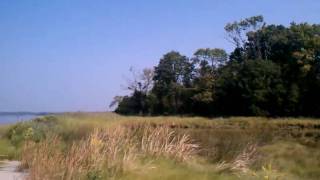 Today at the pond at Shandy Hall