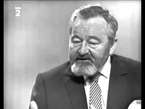 Jan Werich - Přátelství