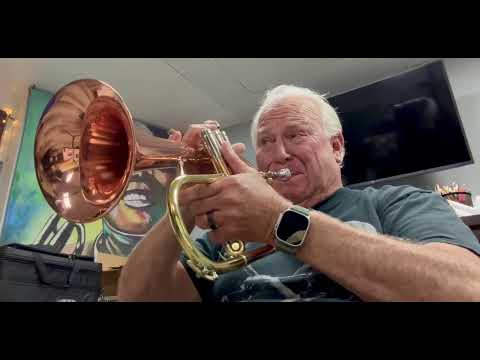 Getzen 4895 Custom Reserve Flugelhorn S/n 665941