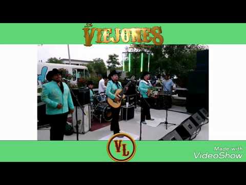 Polvo Maldito Los Viejones de Linares en vivo