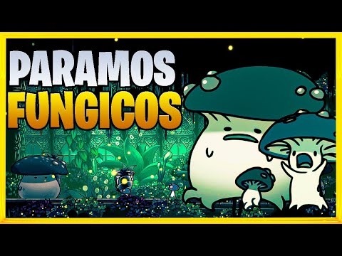 The definitive, complete guide to Hollow Knight fungal parasites