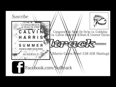 Minerals vs. Viva La Viva vs. Summer (Martin Garrix Mashup)