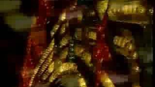 Common Children- Morning Star