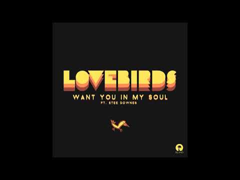 LOVEBIRDS - WANT YOU IN MY SOUL