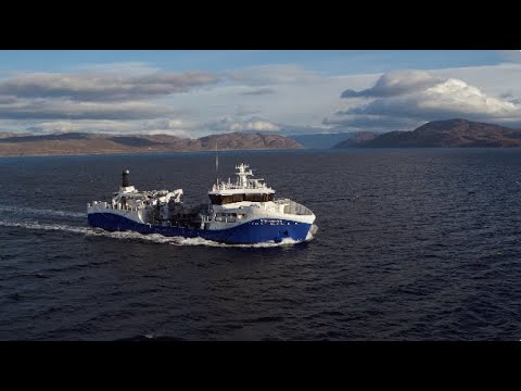 Intership - World of Intership  | Oclin Film