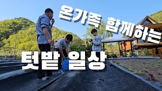 오랫만에 온가족 출동. 사춘기 직전 아들과 텃밭 일상