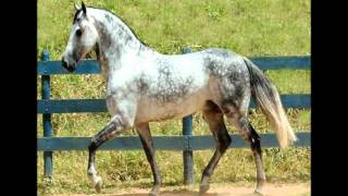 JOSE GUADALUPE ESPARZA,,,JULIO CESAR CHAVEZ, CON BANDA