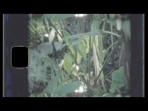 Video thumbnail for Without You
