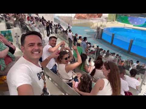 Land of Legends’ta Çocuk Gibi Eğlendik! 🎠 