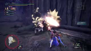 MHW　IB　77