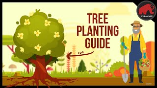 How to plant a tree in a few easy steps: TREE GUIDE 101