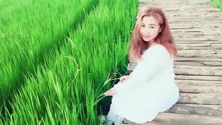 preview picture of video 'Rice fields in Thailand'