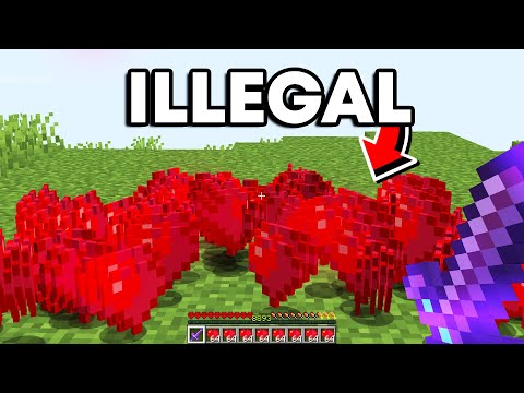 Arey Playz - Why I'm Duping Infinite Hearts On This Lifesteal SMP...